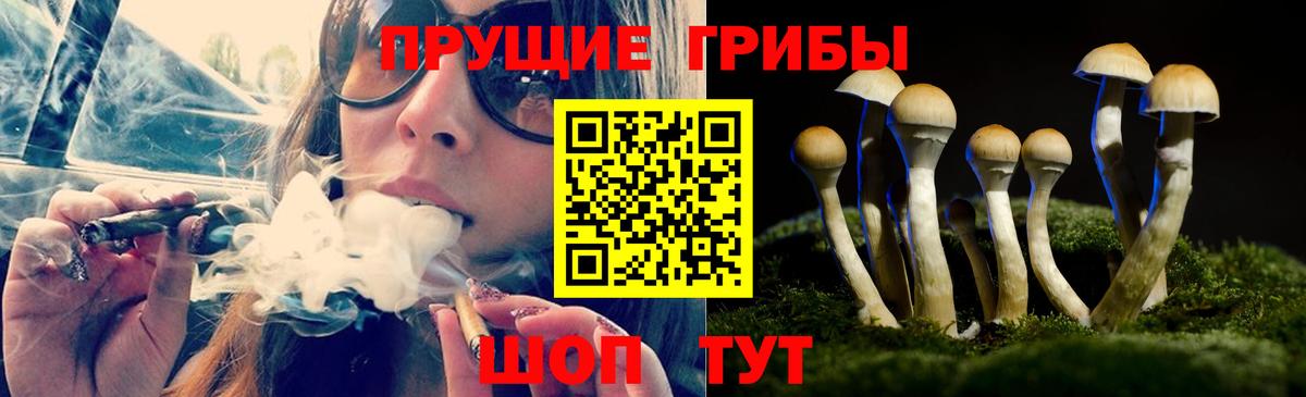 COCAIN Йошкар-Ола